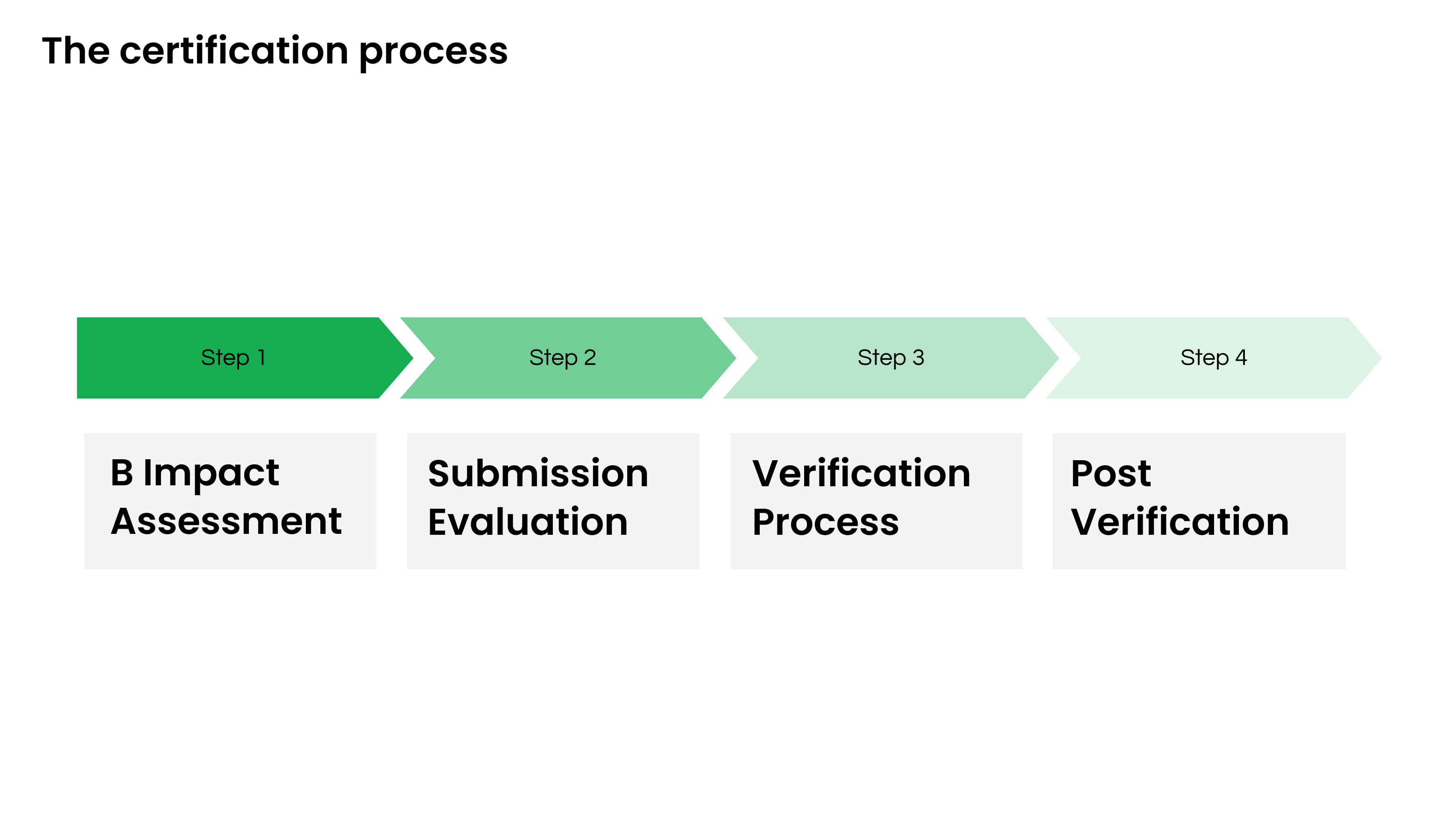 On A Journey To Become A Force For Good: The B Corp Certification